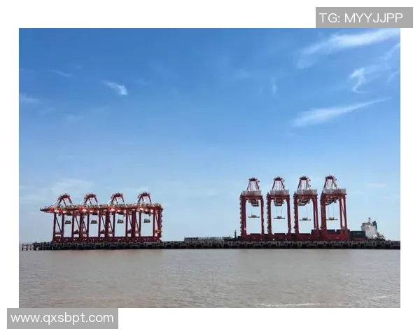 上海海港发展与未来战略探索：推动国际航运中心建设与区域经济协同发展