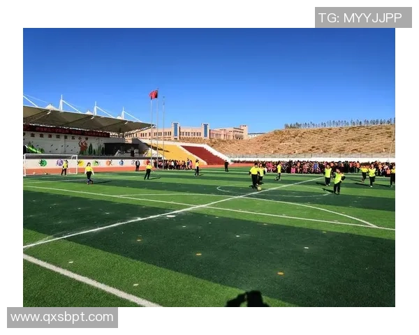 聚焦世界足坛巨星非凡成长历程与璀璨绿茵传奇故事全景解析魅力篇